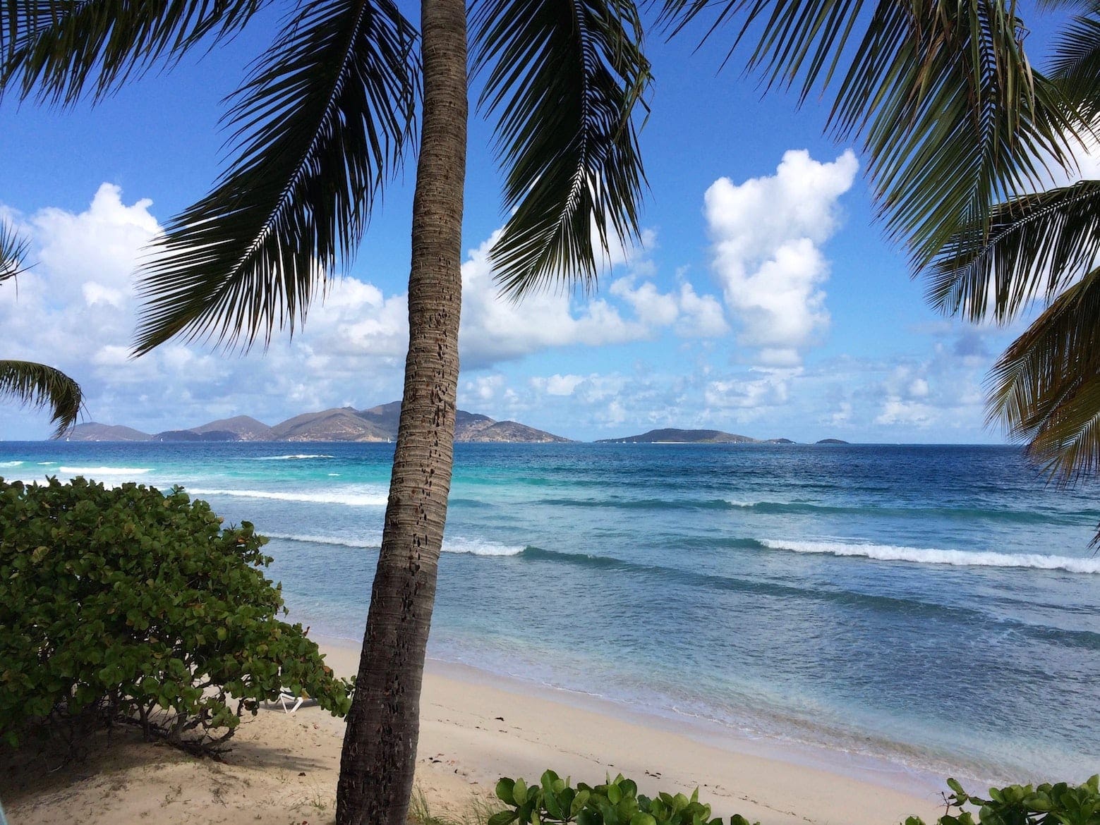 Latest News a New Willy T BVI Bar and Restaurant!