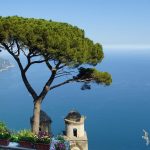 view from the Amalfi coast on a cliff over the water with a tree