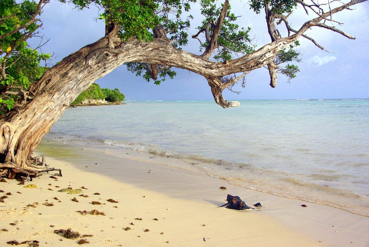 Belize