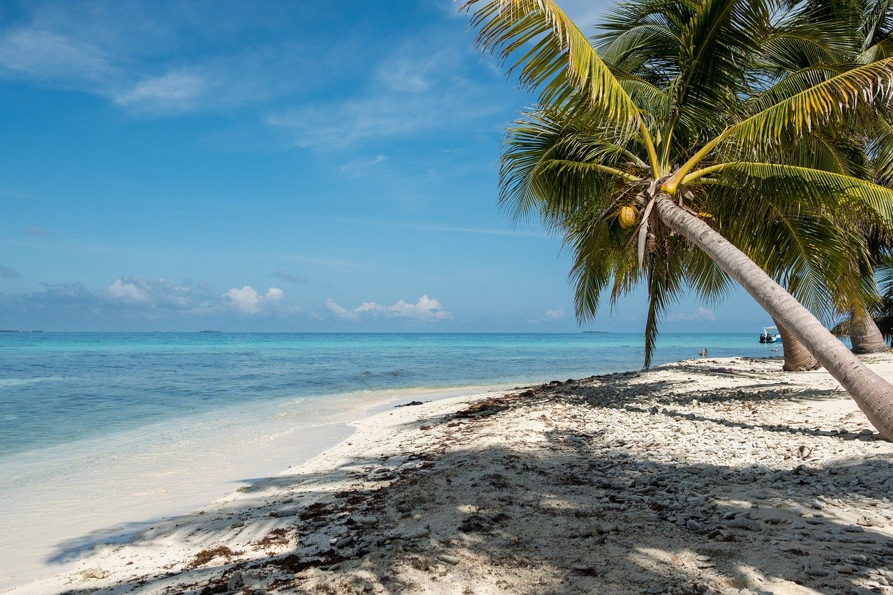 Best Time To Go To Belize