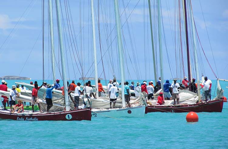 Regatta
