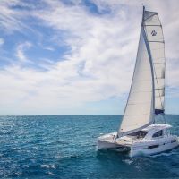 catamaran cup