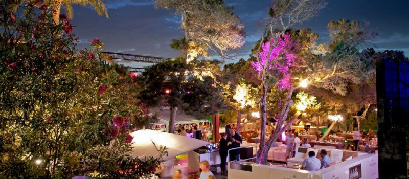 blue marlin blue marlin