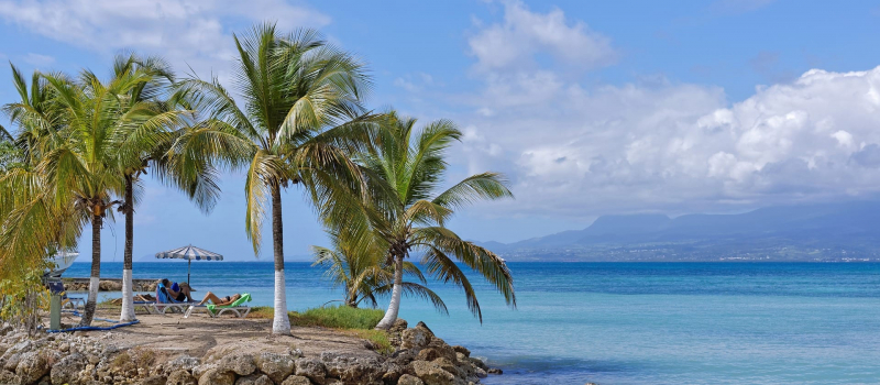 palm trees and ocean on a guadeloupe sailing itinerary