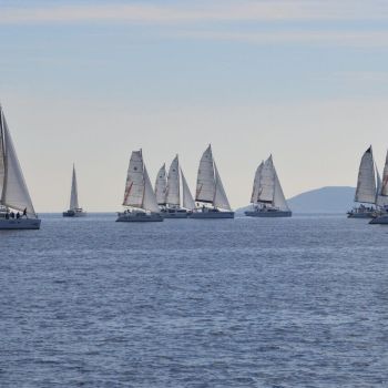 my first regatta – catamarans cup – racing
