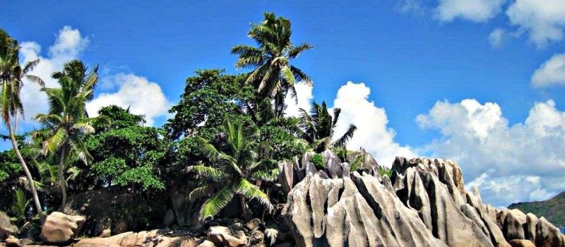 rocks, palm trees, and an island on a Seychelles sailing itinerary